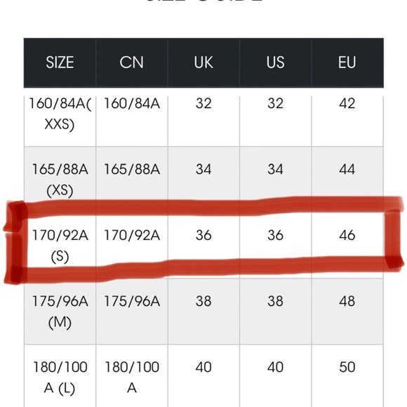 TW Teenie Weenie Bear Rugby Varsity Style Special Issue Equipment Woman Size XS - Picture 10 of 10